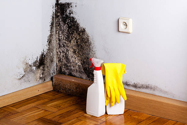 Water damage restoration